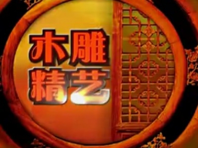 浙江衛視藏天下 東陽振宇紅木家具
